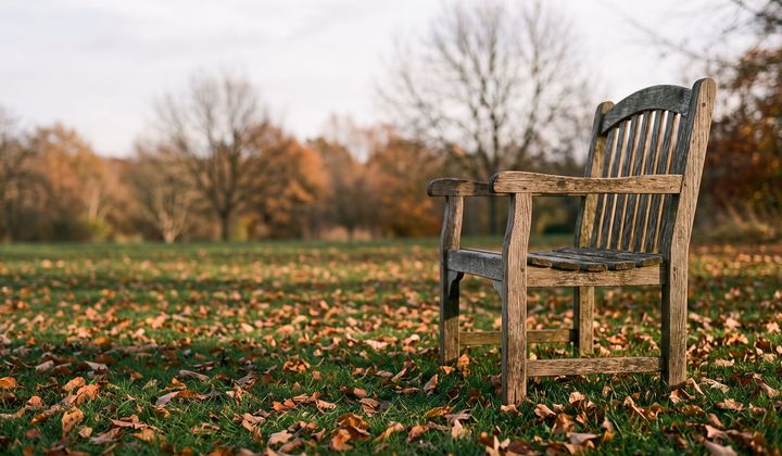 Leerer Holzstuhl auf einer Wiese mit Herbstlaub, tief stehende Nachmittagssonne wirft lange Schatten
