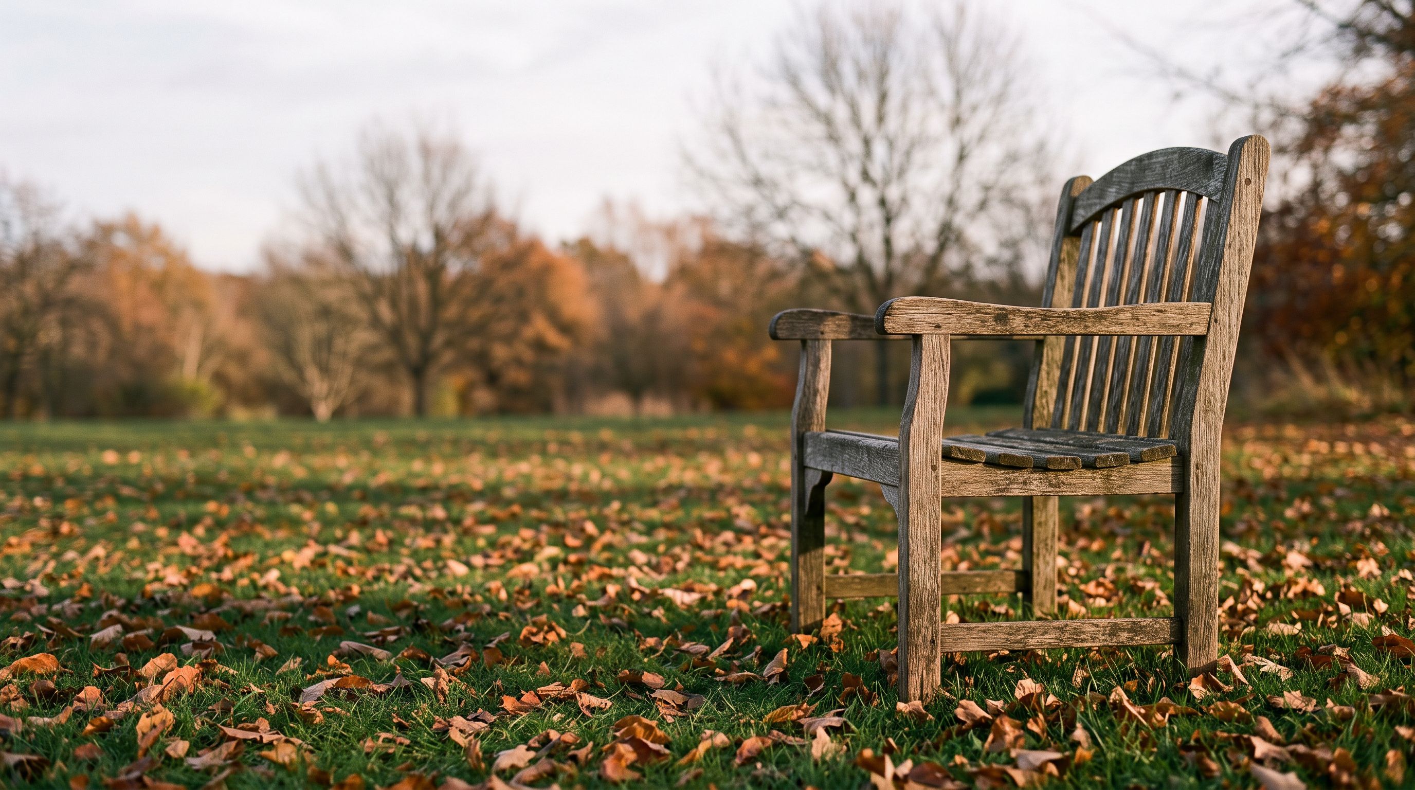 Leerer Holzstuhl auf einer Wiese mit Herbstlaub, tief stehende Nachmittagssonne wirft lange Schatten